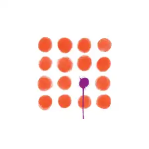 Apollo LTD - Misfits